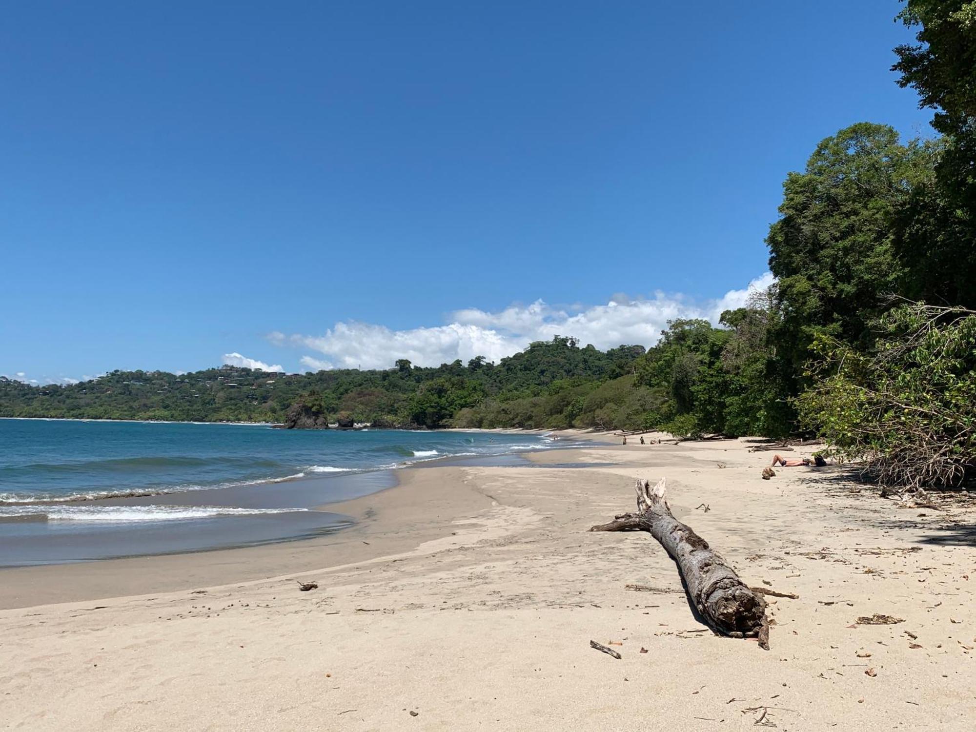 Hotel Playa Espadilla Manuel Antonio Bagian luar foto